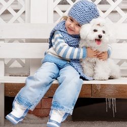 Пазл: Друзья