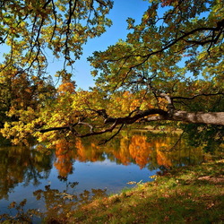 Пазл: Осенний пейзаж
