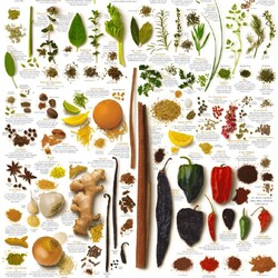 Пазл: Специи