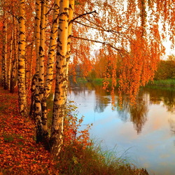 Пазл: Осенний пейзаж