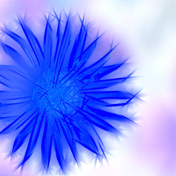 Пазл: Василек