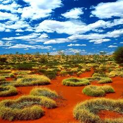 Пазл: Оранжевые прерии