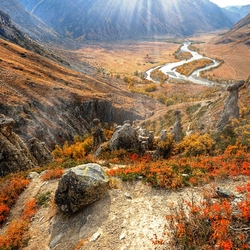 Пазл: Каменные грибы