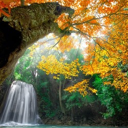 Пазл: Водопад 