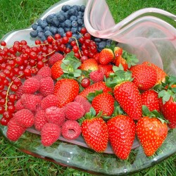 Пазл: Ягоды