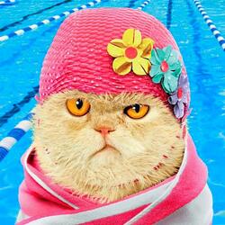 Пазл: Нарядили