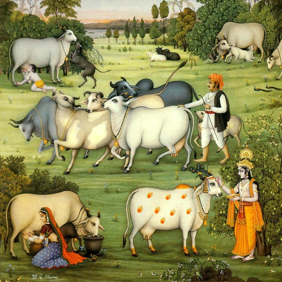 Скотоводство в древней Индии