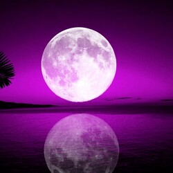 Пазл: Тропическая луна