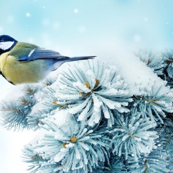 Пазл: Синичка