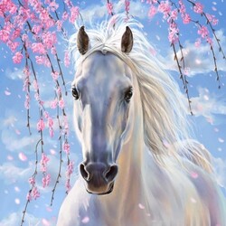 Пазл: Белоснежная красавица