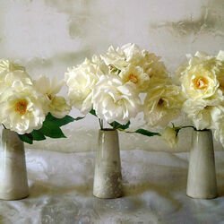 Пазл: Конкурс красоты