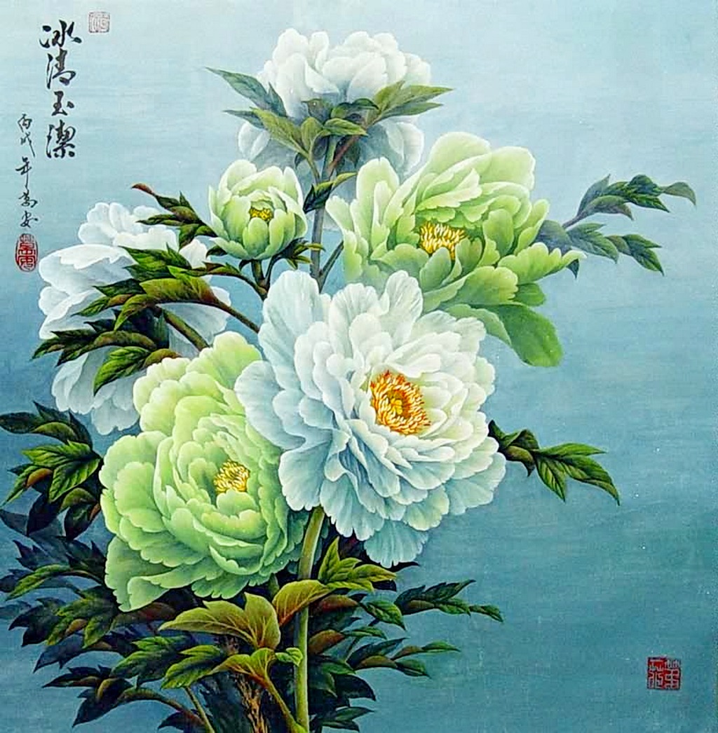 Китайский пион цветок