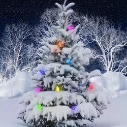 Пазл: Елка новогодняя