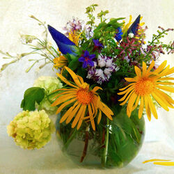 Пазл: Летние каникулы