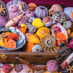 Пазл: Подарок Нептуна