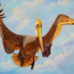 Пазл: Птицы Флориды