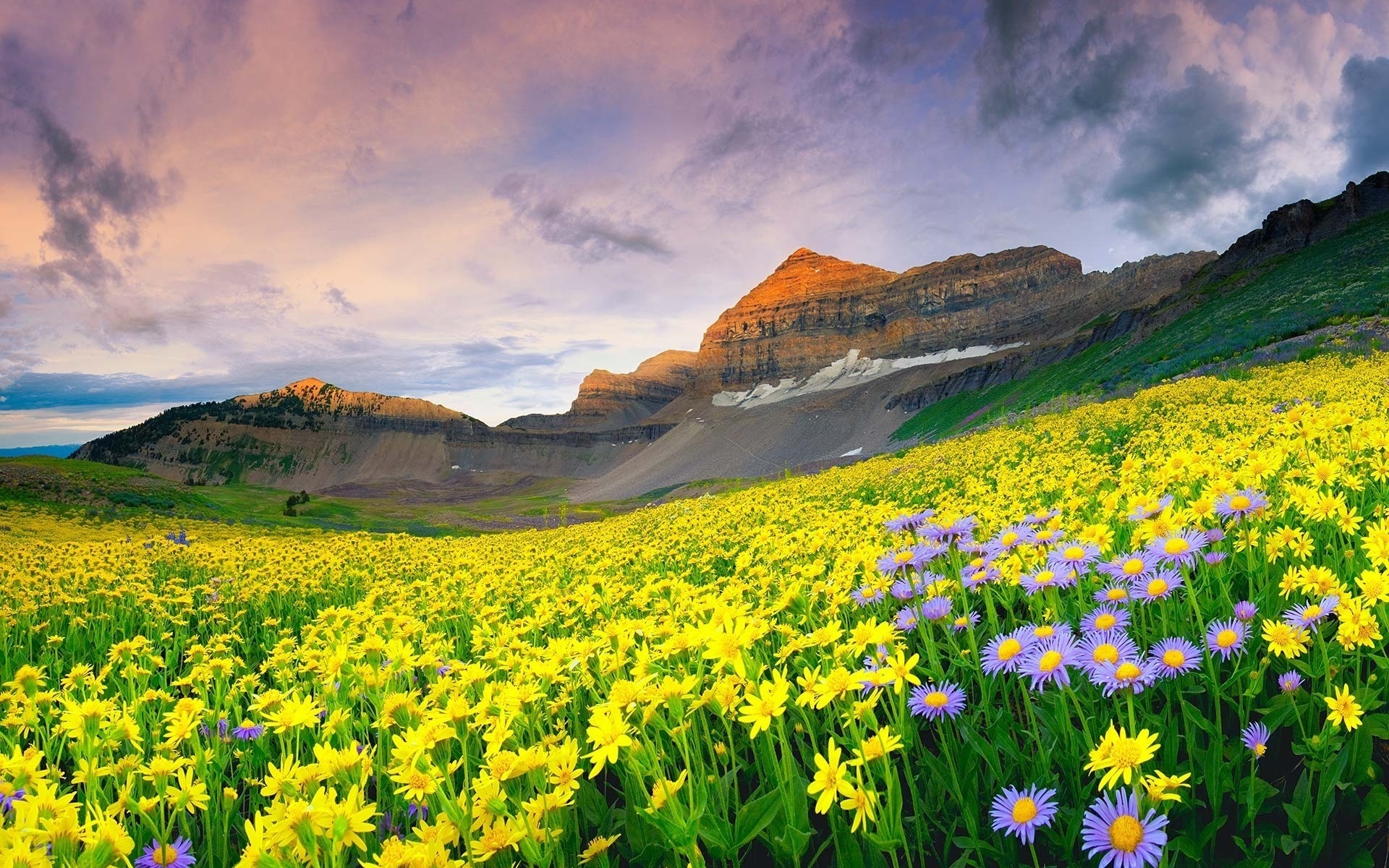 Национальный парк Долины цветов, Уттаракханд
