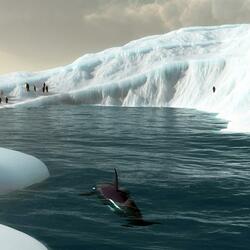 Пазл: Среди льдов