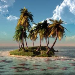 Пазл: Одинокие