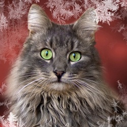 Пазл: Серый