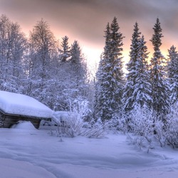 Пазл: Зимняя сказка