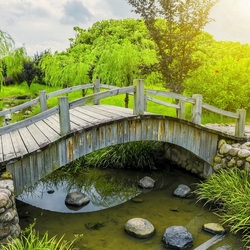 Пазл: Яркое лето