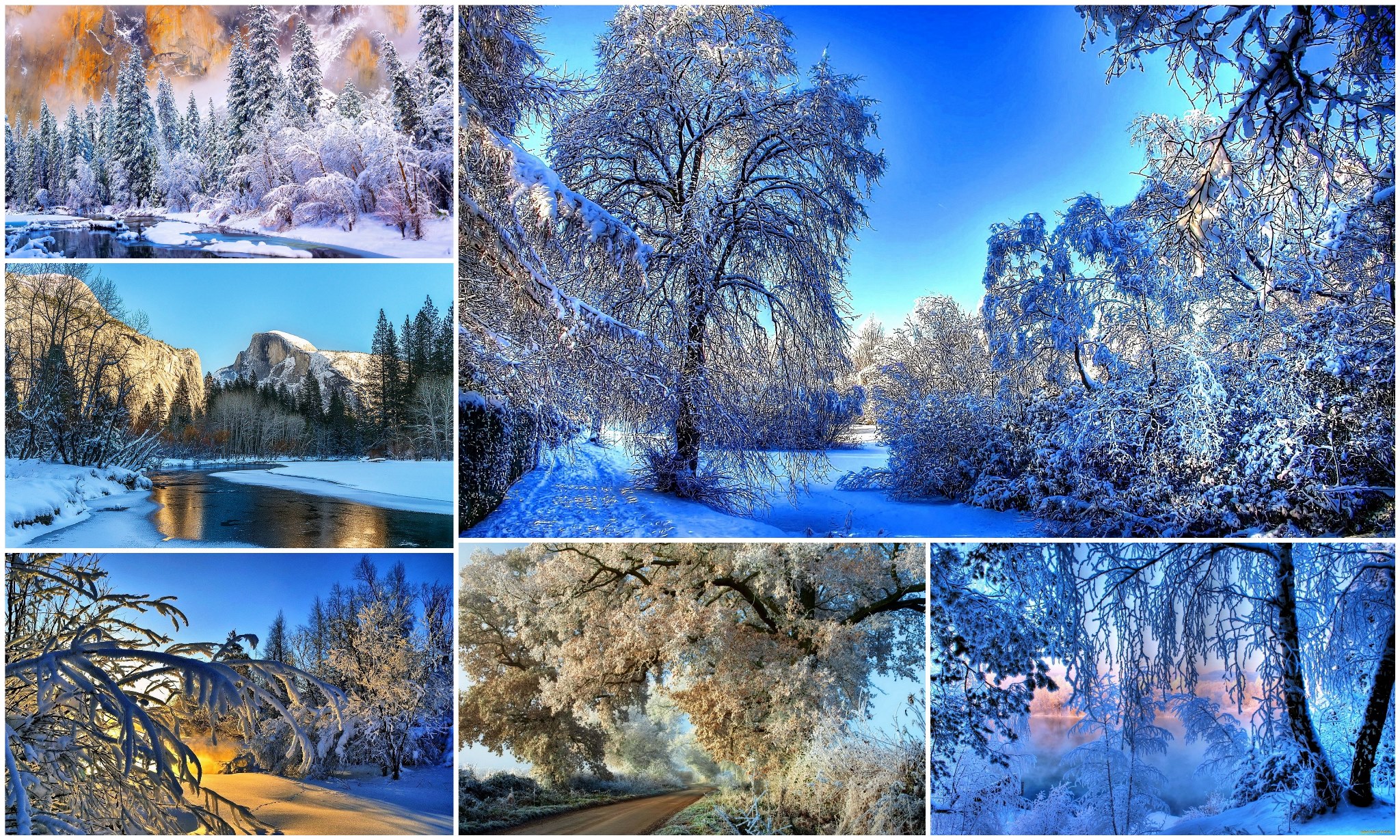 картинки месяцев зимы