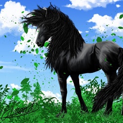Пазл: Вороной конь