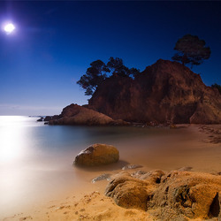 Пазл: Полная луна 