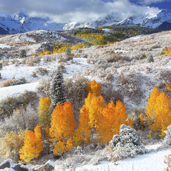 Пазл: Первый снег  