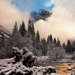 Пазл: Зимний туман    