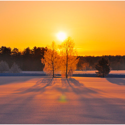 Пазл: Зимний вечер    
