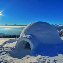 Пазл: Встречаем Новый год в 