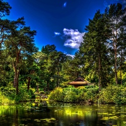 Пазл: Красота