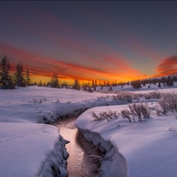 Пазл: Зимний закат  