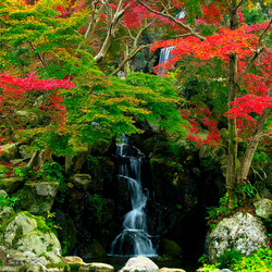 Пазл: Водопад  