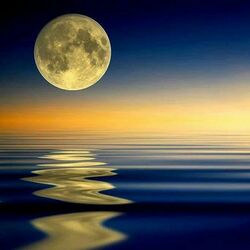 Пазл: Полная луна 