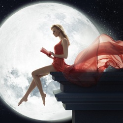 Пазл: Под полной луной