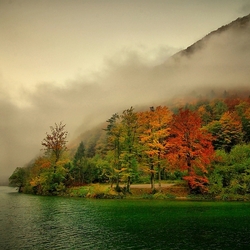 Пазл: Туман 