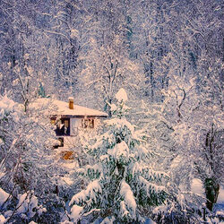 Пазл: Выпал снег