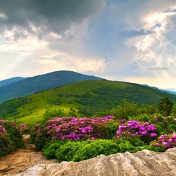 Пазл: В горах 