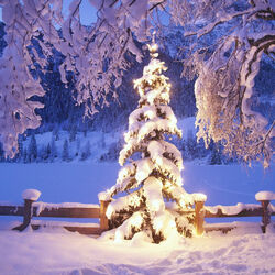 Пазл: В лесу родилась ёлочка