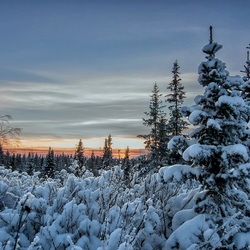 Пазл: Снежные фантазии