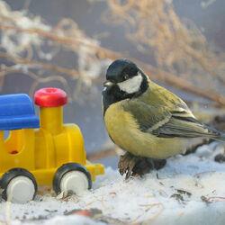 Пазл: Эх, прокати!