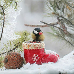 Пазл: Башмачок с сюрпризом