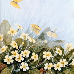 Пазл: Бабочки и цветы