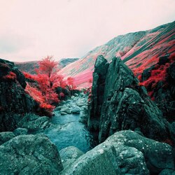 Пазл: Горный пейзаж