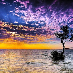 Пазл: Морской закат    