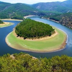 Пазл: Подкова  