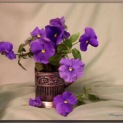 Пазл: Фиалки